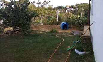 Imagem 2: Portinho piuma próximo a iriri