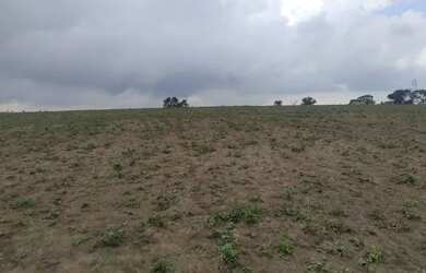 Imagem 7: Fazenda 75 alqueires região de Cassia dos Coqueiros - Don