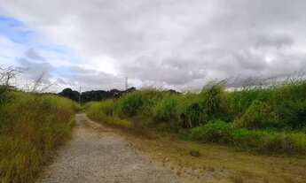 Imagem 4: Terreno frente Airton Senna 100 mil m2