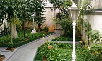 Imagem 1: SãO PAULO - Padrão - Santa Cecilia