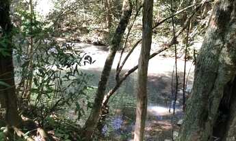 Imagem 4: 3 alqueires 350.000 o alqueire de terra