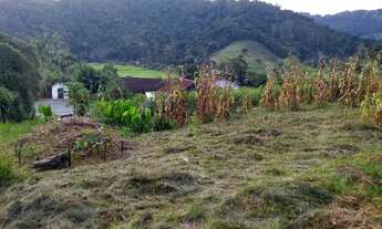 Imagem 4: Casa com terreno grande