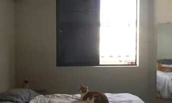 Imagem 7: Apartamento para Venda em Florianópolis, Canasvieiras, 2 dormitórios, 1 banheiro, 1 vaga