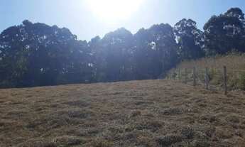 Imagem 3: ?Vende-se terreno perfeito para área de lazer?<br><br>