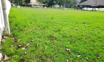 Imagem 5: Terreno// sítio