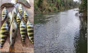 Imagem 2: Vendo Chácaras 2 Hectares, Rio Verde Padre Bernardo