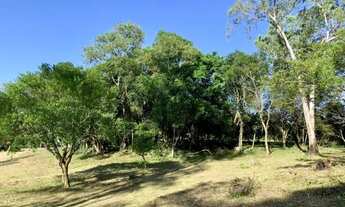 Imagem 5: Vendo Lindo sitio pra sua familia