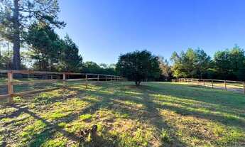 Imagem 7: Sítio Cercado Ou Com Riacho A 100 Metros Da Rs020. M75TD3