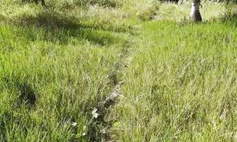 Imagem 7: Vendo casa na ilha de tairu