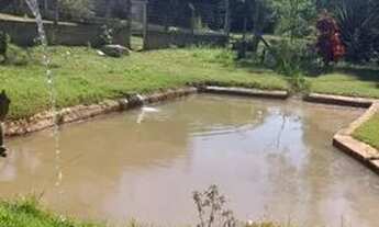 Imagem 3: Vendo chácara com Bar