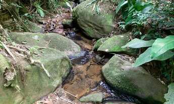 Imagem 6: Terreno com ótima topografia