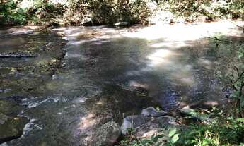 Imagem 6: 3 alqueires 350.000 o alqueire de terra