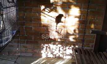 Imagem 4: Jacarepaguá Casa em condomínio com 5 dormitórios