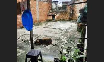 Imagem 7: Vendo duas casas em um único terreno