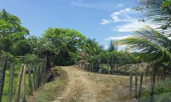 Imagem 5: Sítio de 470.000 m²