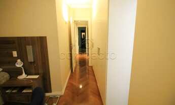 Imagem 6: Apartamento Padrão em São José do Rio Preto