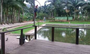 Imagem 5: Sítio 08 Alqueires Serra de Curitiba - analiso trocas