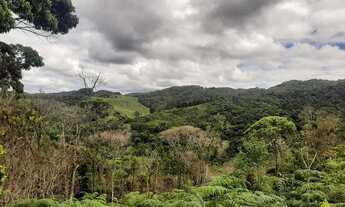 Imagem 5: SANTO AMARO DA IMPERATRIZ - Terreno Padrão - santo amaro