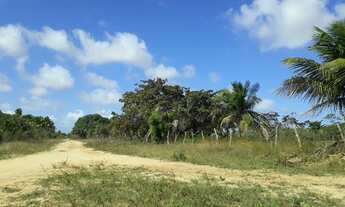 Imagem: Vendo granja no pq industrial de macaiba