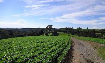 Imagem: GG Carta de Crédito Rural em Macapá