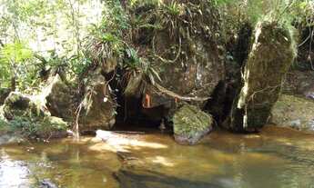 Imagem 5: Fazenda em Paraibuna - VENDA