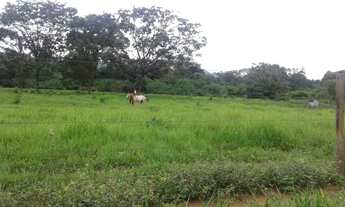 Imagem 7: Inhumas - Terreno Padrão - Vila Mutirão