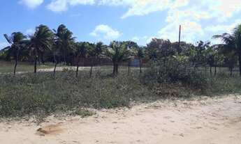 Imagem 2: Vendo granja no pq industrial de macaiba