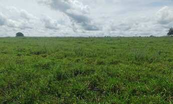 Imagem 2: 691 alqueires no município Rio dos Boi-TO