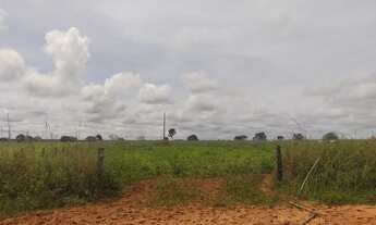 Imagem 5: 691 alqueires no município Rio dos Boi-TO