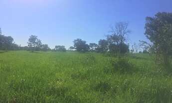 Imagem: Fazenda/Sítio/Chácara para venda possui