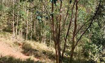 Imagem 7: Terreno á venda com ótima vista panorâmica para natureza