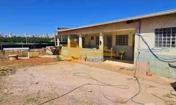 Imagem: VICENTE PIRES