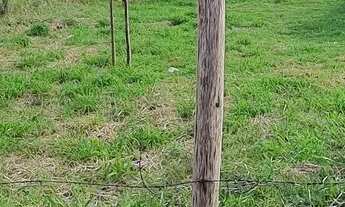 Imagem 2: Terreno 10x43 Terreno / lote com venda por R$50.000