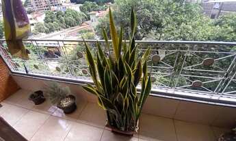 Imagem 3: Apartamento no Centro 3 quartos sendo 1 suíte com planejados