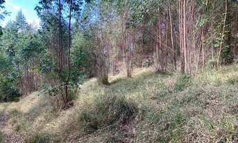 Imagem 7: Vende-se terreno de 1.000m² para chacara a 4km do centro do boa vista em igarata