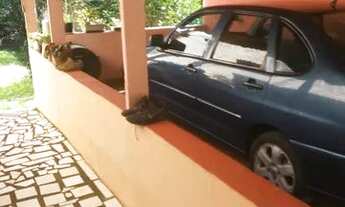 Imagem 3: Casa para alugar no bairro Santa Cândida (direto c/ proprietário