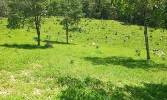 Imagem: Fazenda/Sítio/Chácara, 58 hectares, casa