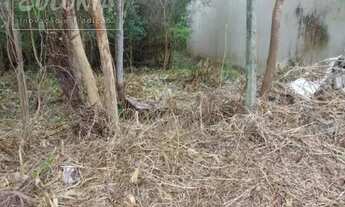 Imagem 7: Santo André - Terreno Padrão - Jardim Clube de Campo