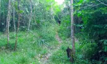 Imagem 5: Terreno 23 hectares