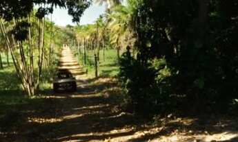 Imagem 6: Terreno para venda possui 700000 metros quadrados em Taíba - São Gonçalo do Amarante - CE