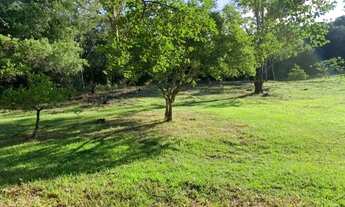 Imagem 2: Vendo Lindo sitio pra sua familia