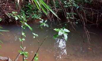 Imagem 4: Vende chacara 2769 mts com riozinho nos fundos e muita tranquilidade areia vermelha