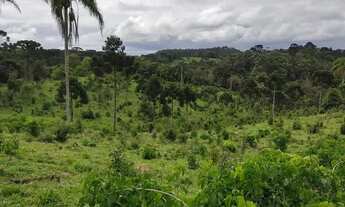 Imagem 6: Terreno em campo alegre