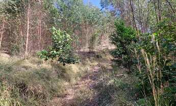 Imagem 6: Vendo terreno com 1000m² a 4km do centrinho do boa vista em Igarata-sp