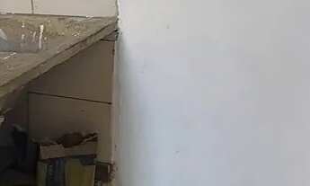 Imagem 4: Aluguel casa/Fundos