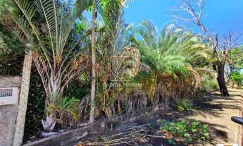 Imagem 3: Terreno (terreno normal