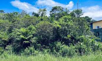 Imagem 4: Terreno em Itanhaém localizado no lado serra à 1,6 km da rodovia