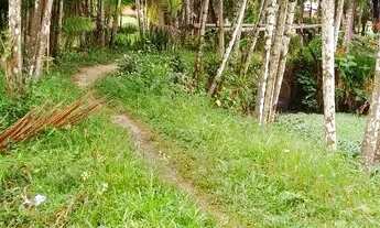 Imagem 4: VENDO ESSE SITIO EM CAPANEMA 82 MTS FRENTE,216 LAT.DIR, 211 LAT,ESQ,58 FUNDO