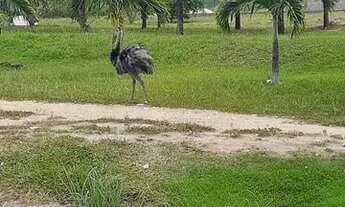 Imagem 2: Condominio Fazenda Real 3
