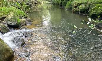 Imagem: Sítio de Cinema! Com lindo rio, pasto e